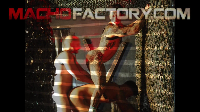 Macho factory: Dominant Top for Two Sexy Submissive Bottoms.