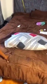 後背位で犯されるのが好きです