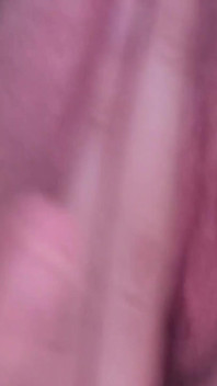 Solo Pussy Compilation