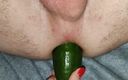 Wild Life PA: Cucumber Ass Fucking by My Wife
