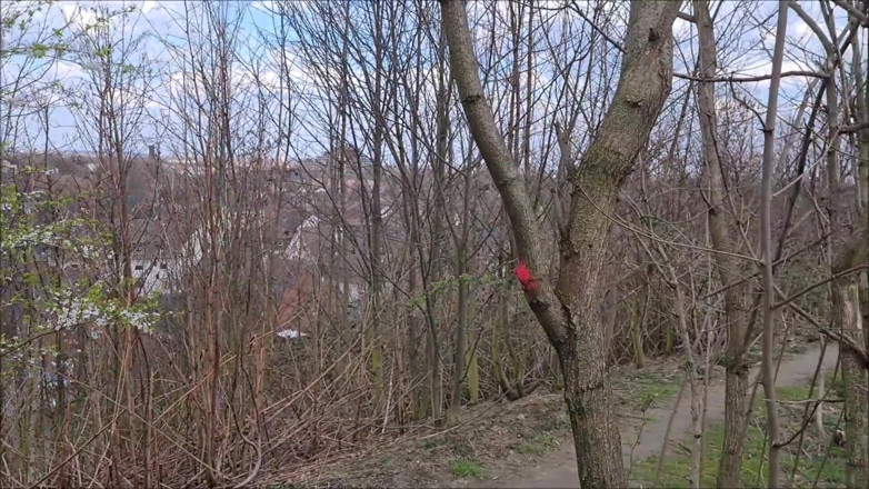Deepmalaa: Spontaneous outdoor blowjob