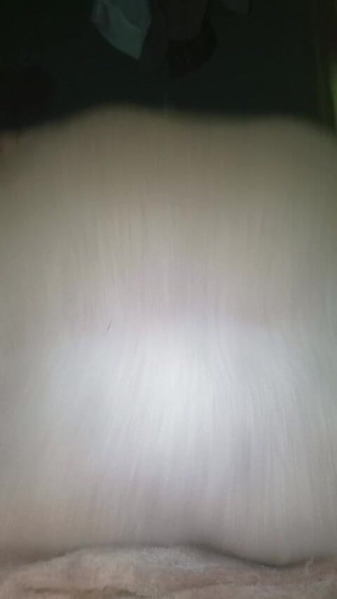 Badman4606: La stravagante ebano nera