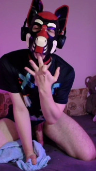 Playful Pup Jerks and Cums in Every Pose