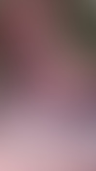 Sex with Stranger on Coast