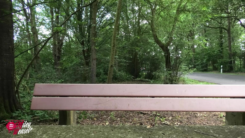 Miley Weasel: Ateşli sarışın kaltak açık havada arabada sikiliyor!!