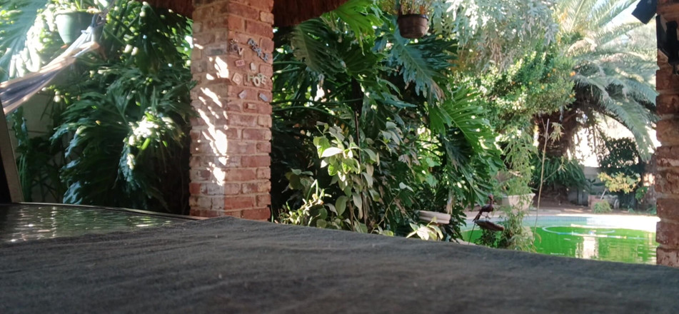 Bigjoefuckalott: Spaß Im Garten Haben, Blondine Lutscht Schwanz