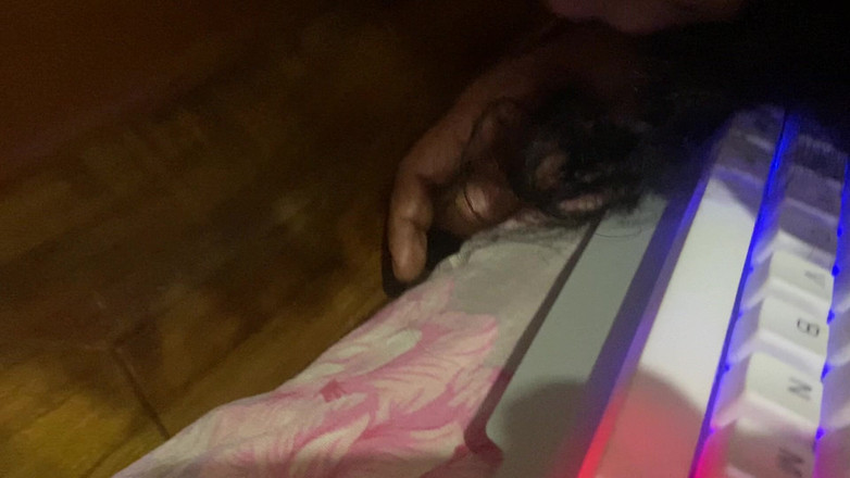 Arabicqueen: かわいいカップルの角質ファックは、ハスバンが外に出た後