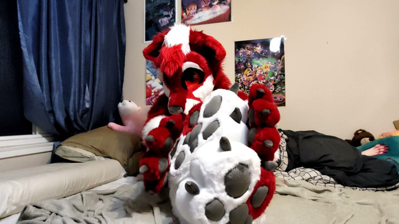 PawgrammerSocks: Szarpanie i pokazywanie footpaws w fursuit na całe ciało