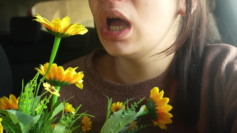 AmayaMori: Nysning passar i bilen min plastblommor allergi reaktion