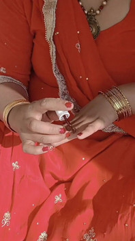 Punjabi Bhabhi målade sin spik på taket
