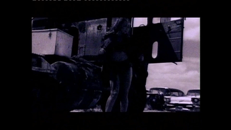 Hard Accademy: MILF-uri erotice reale