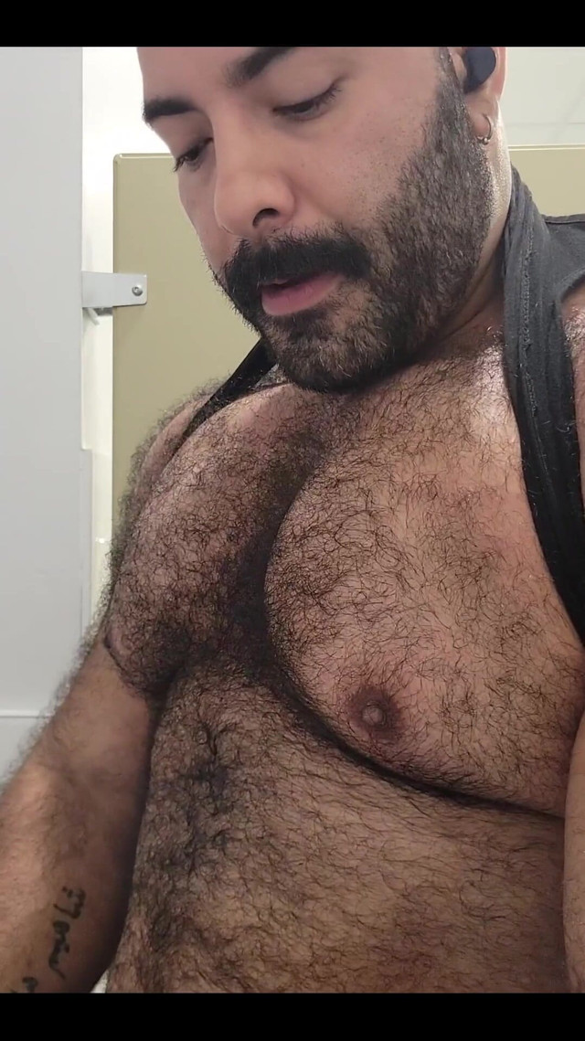 Solo Bear (Lobo) Solo Bear (Lobo)