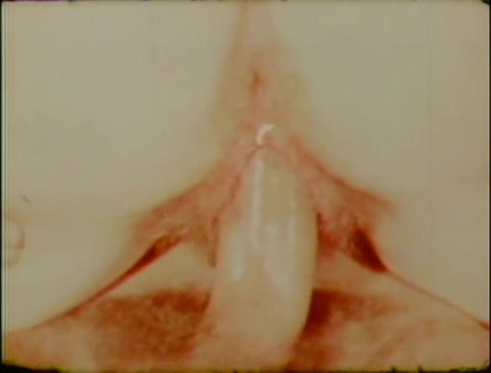 Vintage Usa: Sweet young vintage girl take a big cock