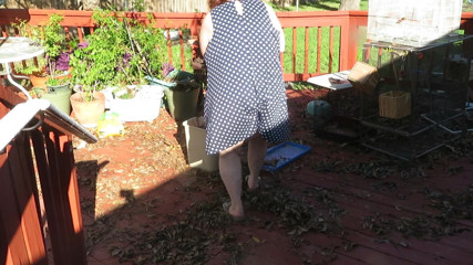 BBW nurse Vicki adventures with friends: Гра в моєму саду, демонструючи дупу, ноги та жирну пизду, засвічуючи тобі під час прибирання мого листя! Червоні мереживні стрінги!