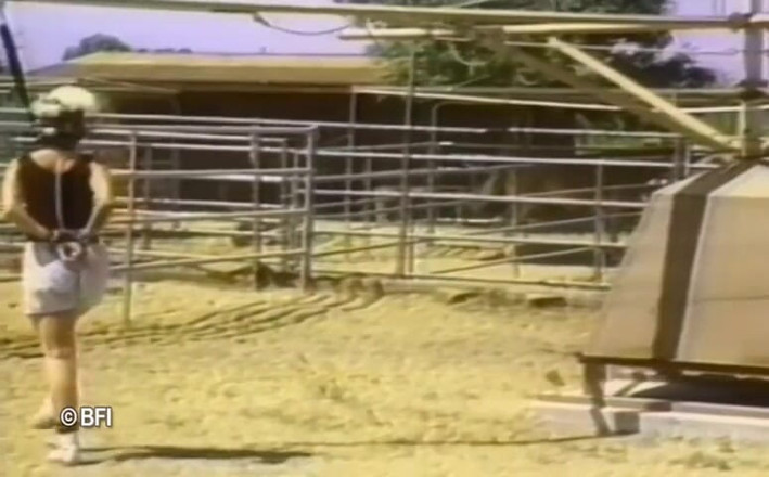 House of lords and mistresses in the spanking zone: Treinamento de meninas de estimação