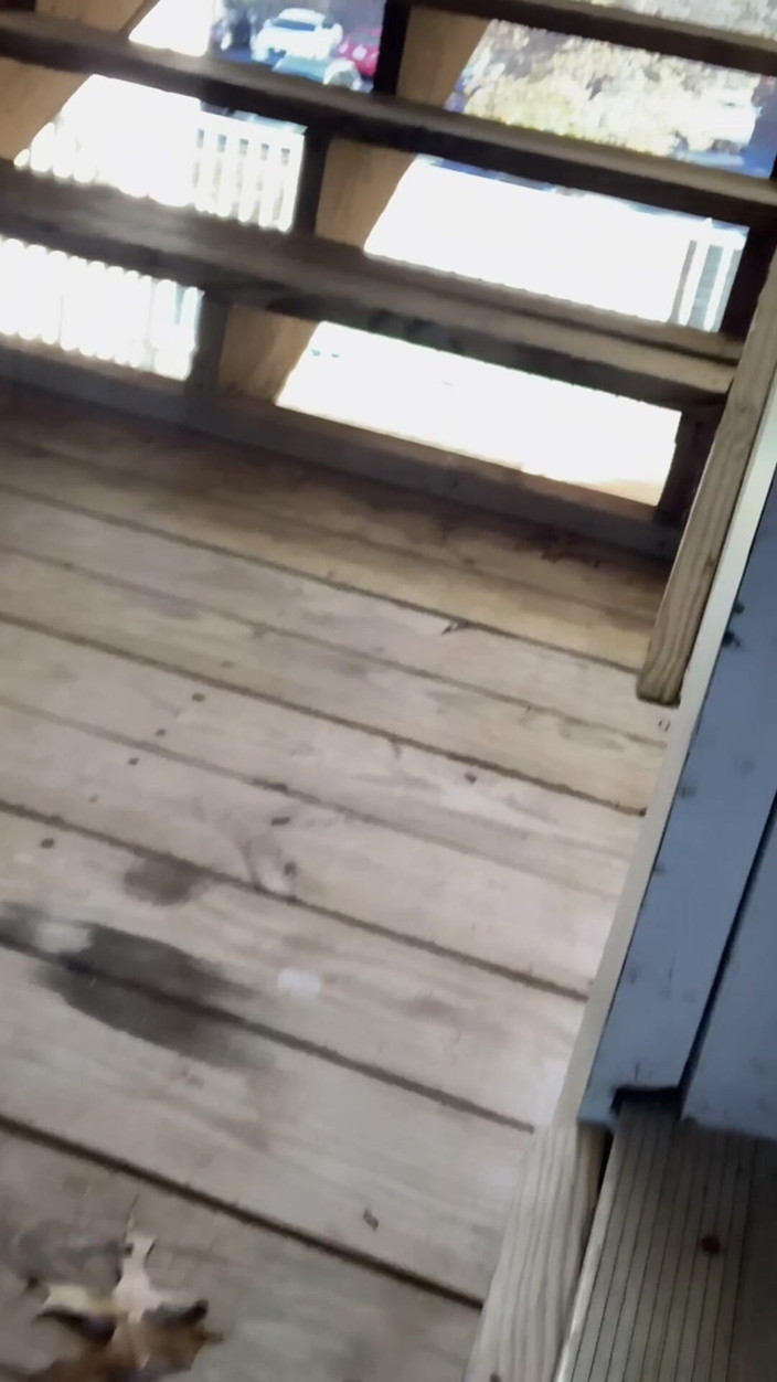 CindieLove: Apartmán Breezeway Dildo Anální šukání Sissy Děvka