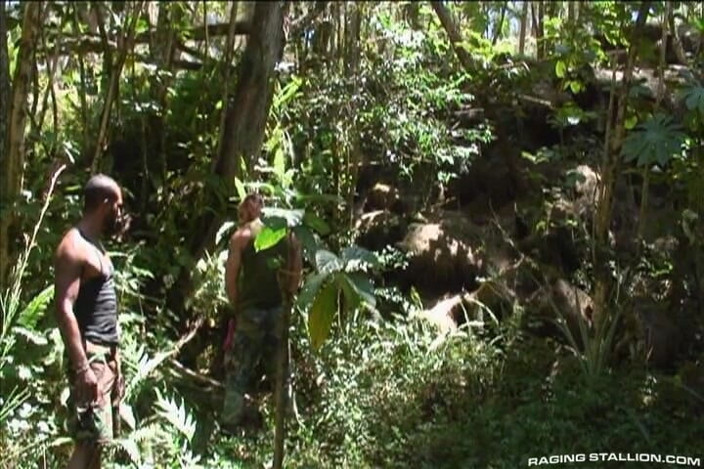 Raging Stallion: Lords of the Jungle