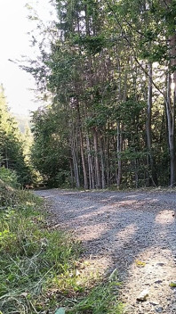 Scooter Rider Outdoor Masturbation