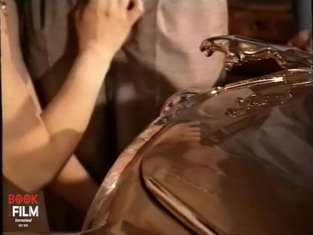 Cult of Fetish: Dominatrix tiếp nhận.