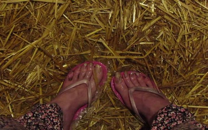 Barefoot Stables: Piedi stalle pisciata