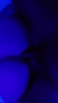 Шмель Загружается Утром
