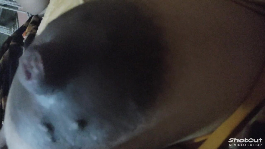Bhabhi Ji Ke Milky Bubu Hot Boobs (Your Hot Daisy XXX) Bhabhi Ji Ke Milky Bubu Hot Boobs (Your Hot Daisy XXX)