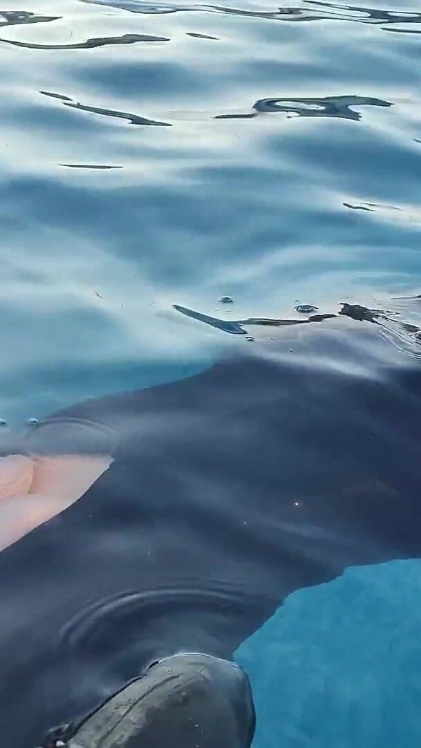 Swimming and Holding My Breath in Very Cold Water (Princess18)