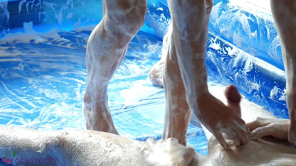 Ethan Alex: Luta de espuma e sexo em pêlo anal na piscina!