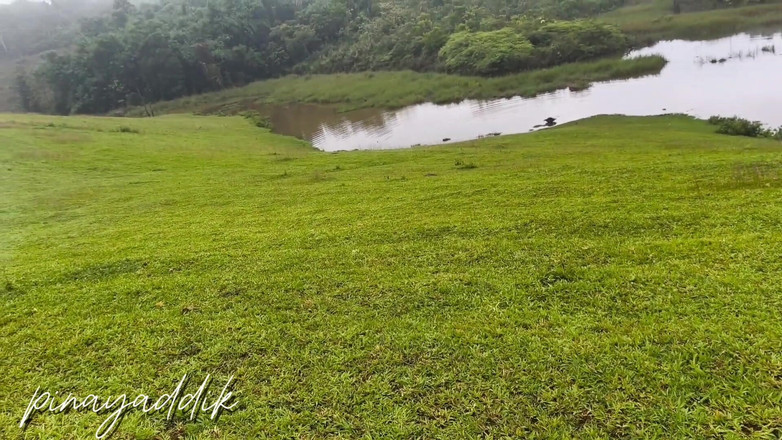 Lovelyaddik: Lovelypinay Nature Lover