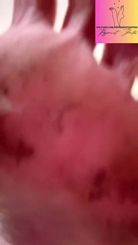Mean Giantess Tiny POV Crush & Destroy You