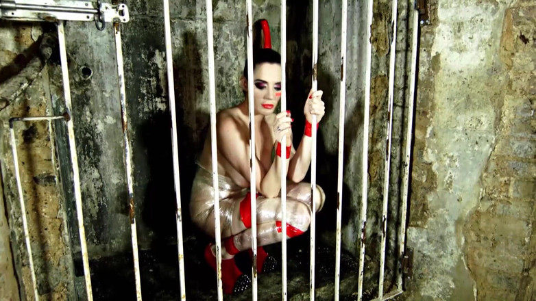 Horny girls want to fuck: Big Pussies Scream for a Hard Fuck