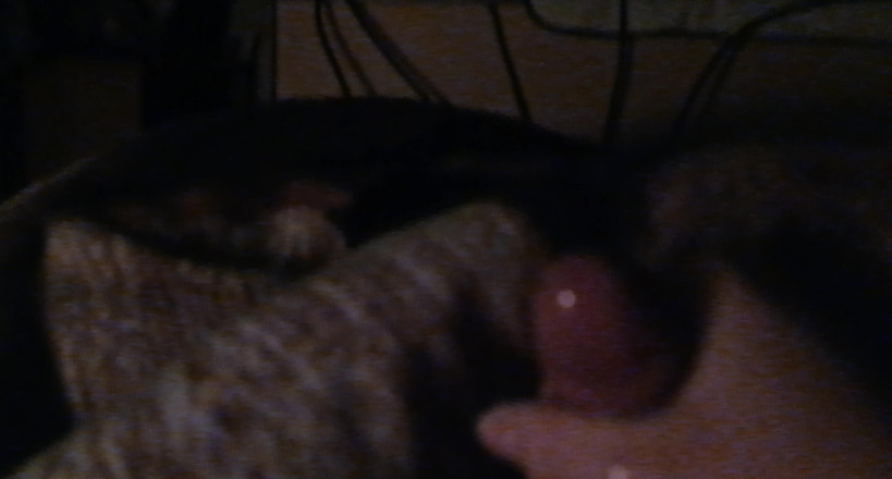 Horny Boy 18 year: Подростки Сквиртс