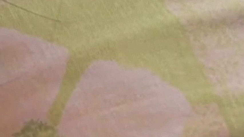 Sexy girl got fucked (Seducing Queen) Sexy girl got fucked (Seducing Queen)