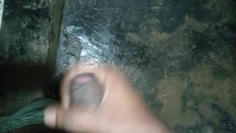 John Denver: Desi Solo