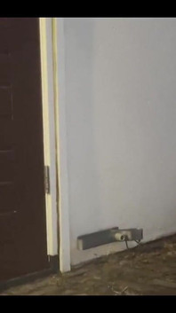 388116747086995457.mp4