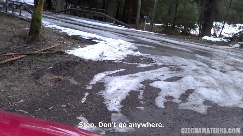 CzechAmateurs: Cewek ceko amatir seks anal 98 tahun sebelum kedatangan bayinya