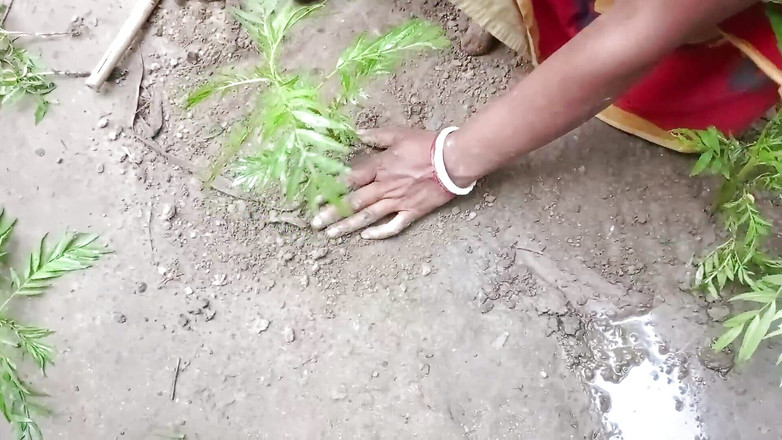 Dogrupali69: Hindi audio hete Bhabhi seks