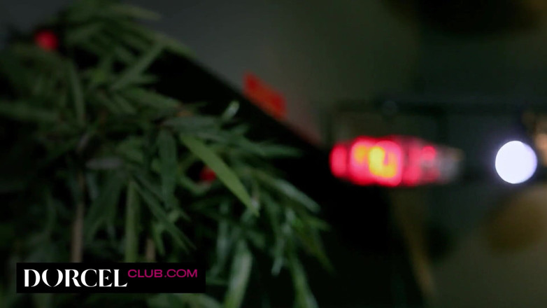 Dorcel Club: Tiffany Doll, more naughty than ever