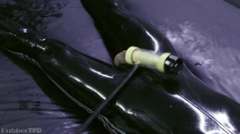 Suaka ekstraksi karet