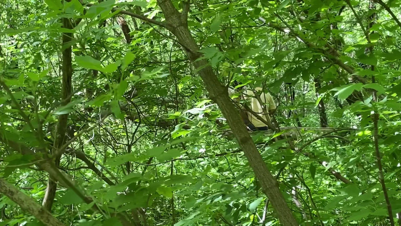 1TeddyBear1: 숲속의 섹스. 두 명. 1부. 원본 4K 버전