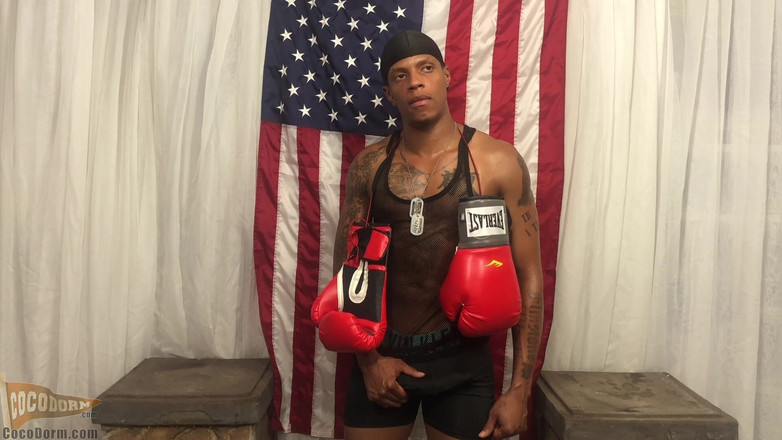CocoDorm: Gi Zoe - Americký boxer