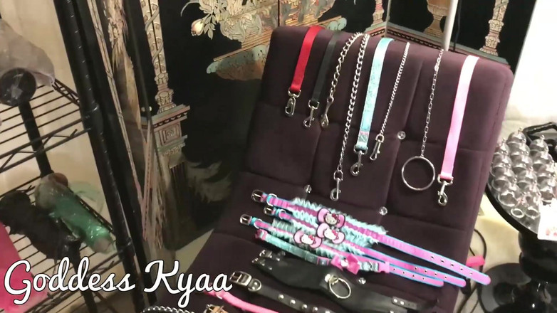 Kyaa Chimera: Prendendo il bilancio