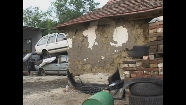 PURZEL TV - our best full movie: Người đẹp nóng bỏng vì hoành hành