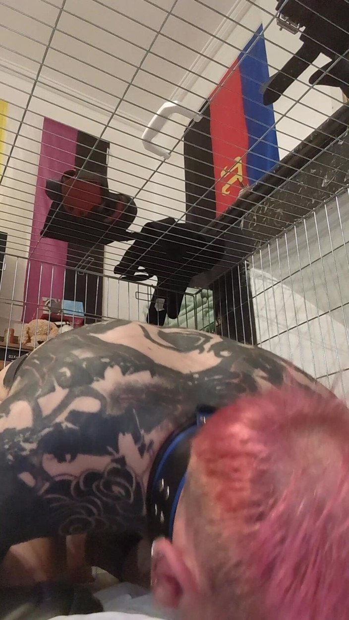 Pupdan: Kyskhets dag 13 - lydande mästare som en bra strumpbyxor