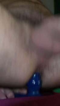 Harry_jen Gej Grać Zabawkę W Rozmowie Wideo