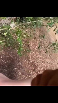Amerikaanse toerist neuken in Punta Kriz Kroatië