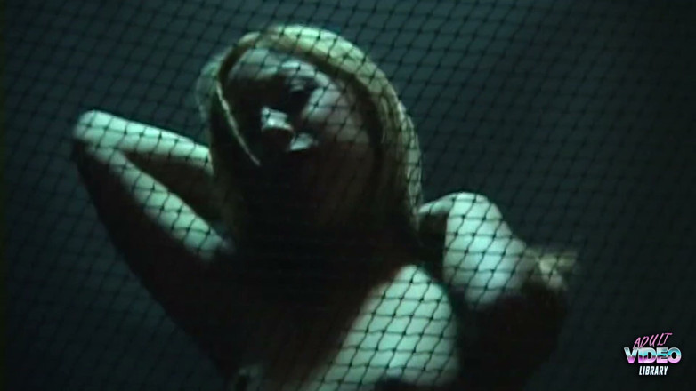 Adult Video Library: He Just Could Not Keep It to Her Pussy and...