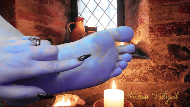 Mxtress Valleycat: Worship my big blue feet