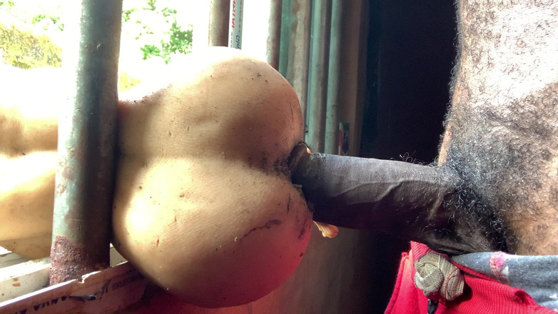 Bangcum8: Caliente profundo xxx puta