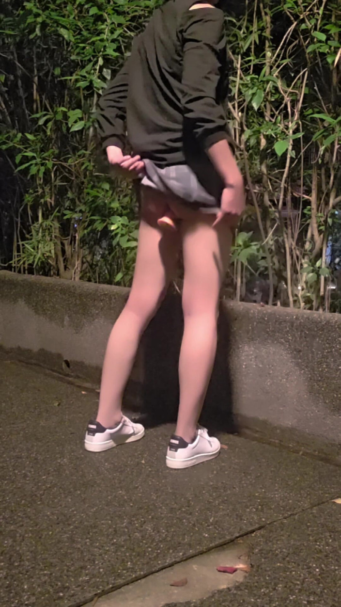 Taiwancdgirl: 伪娘婷萱在戴贞操锁外出，用假阳具让自己高潮